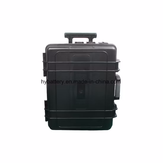 흔들며 가격 조정 S 고품질 12.8V 100Ah 1200Wh 충전식 휴대용 에너지 저장 전원 공급 장치